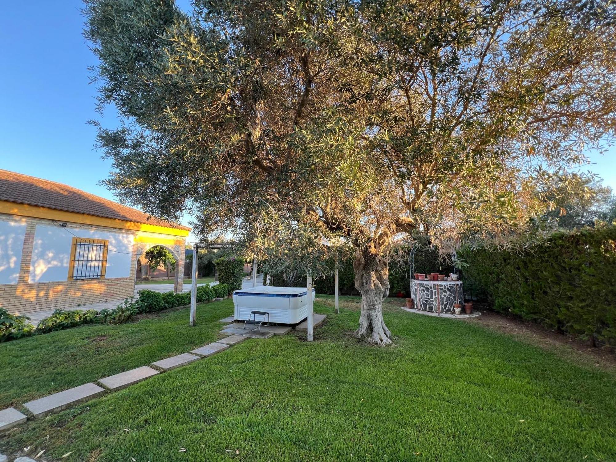 Chalet Piscina Jakuzzi Sevilla Hacienda de Tarazona Eksteriør bilde
